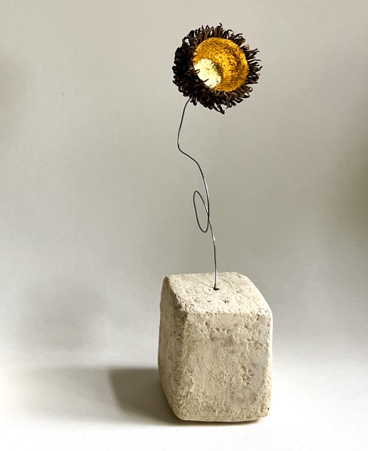 Solo Chêne – Image 2
