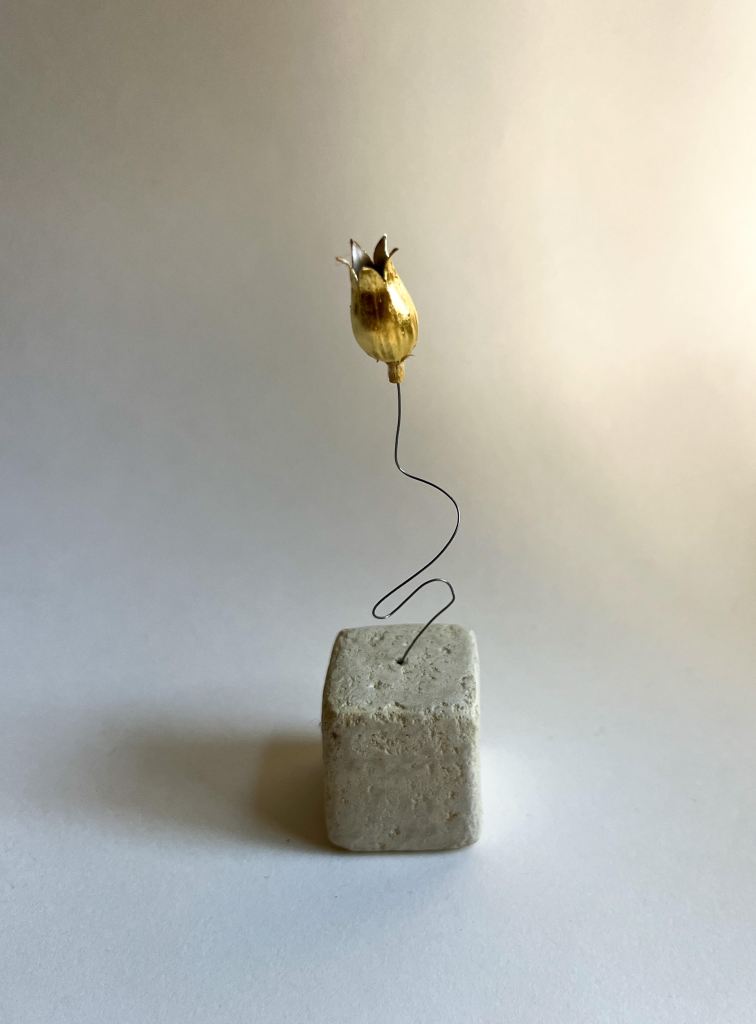 Solo Nielle des blés