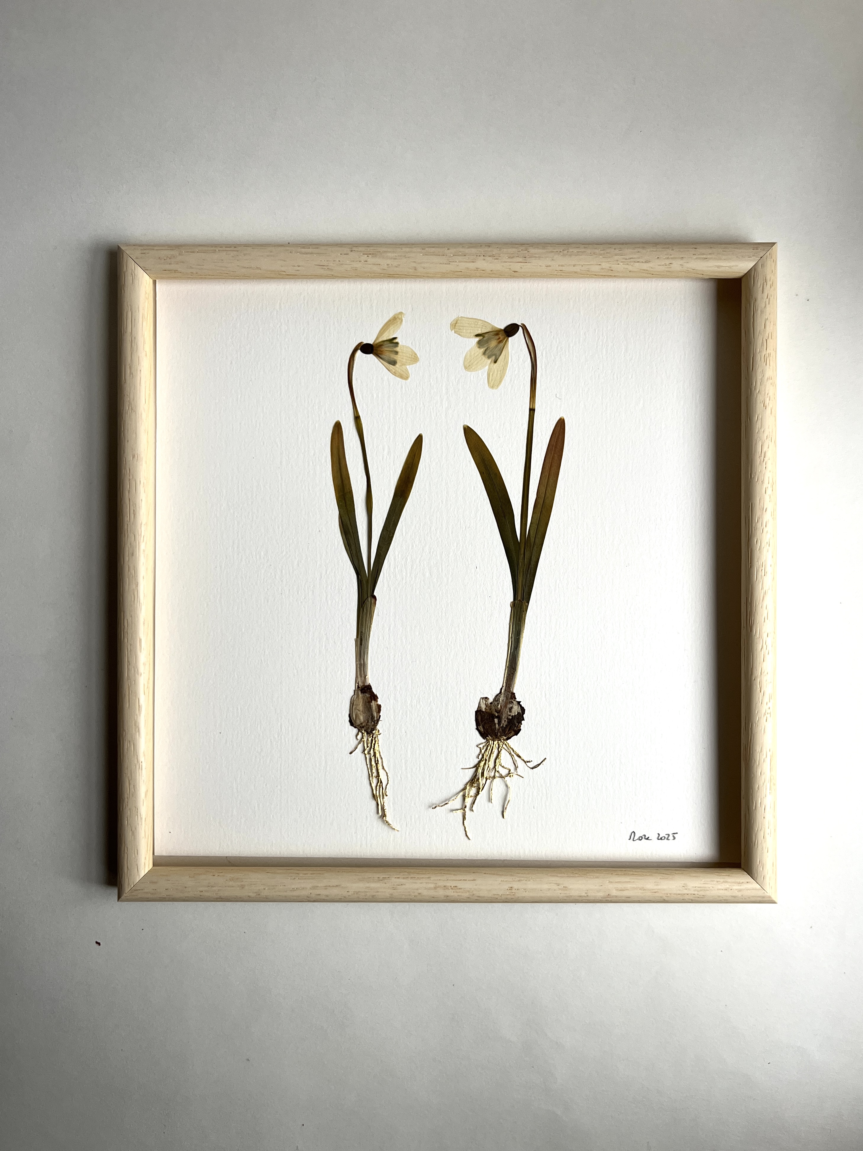 Toi + moi | Perce-neige – Image 4