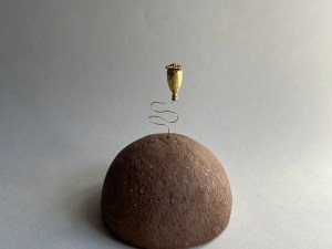 Solo Coquelicot - planète n°2