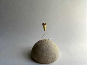 Solo Coquelicot - planète