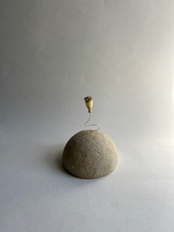 Solo Coquelicot - planète